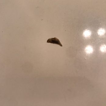 Frances' Pizza - Dirty fingernail - Pizza Near Me - Riverton, Illinois