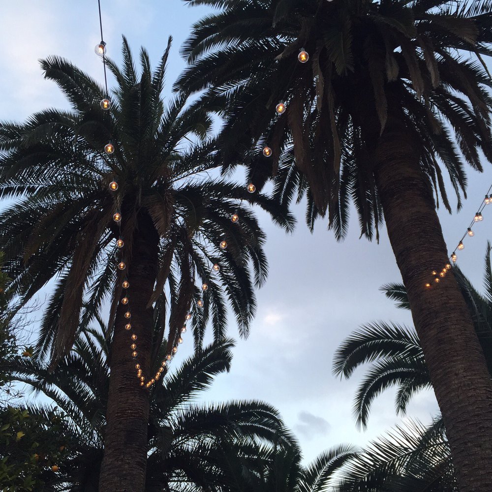 Kingan Gardens - Gorgeous twinkle lights - Venues & Event Spaces Near Me - Tucson, Arizona Kingan Gardens - Gorgeous twinkle lights - Venues & Event Spaces Near Me - Tucson, Arizona