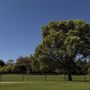 Pitts Ranch Park