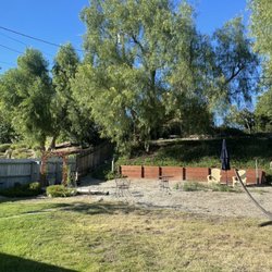 Salinas Tree Service - Before tree removal.