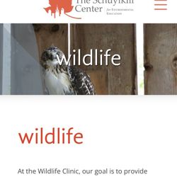 Wildlife Clinic at the Schuylkill Center