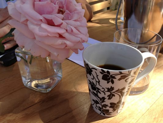 Bespoke Inn Scottsdale by null