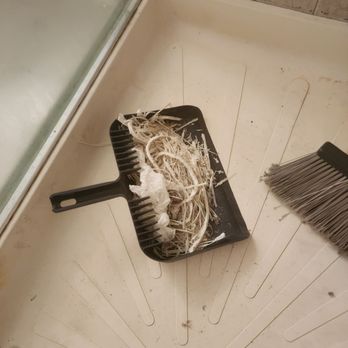 Handy Herz Home Services - Clean Up - Handyman Near Me