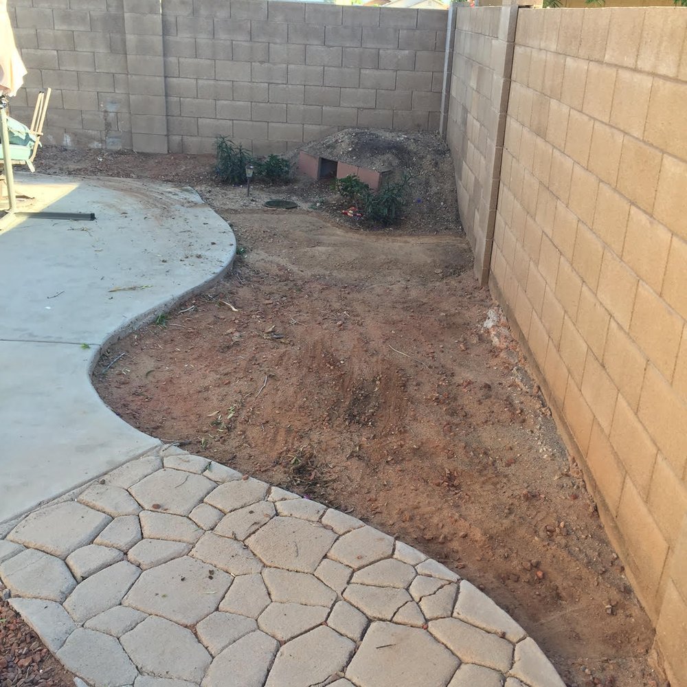 Earthtones Landscape Management - During - Tree Services Near Me - Phoenix, Arizona Earthtones Landscape Management - During - Tree Services Near Me - Phoenix, Arizona