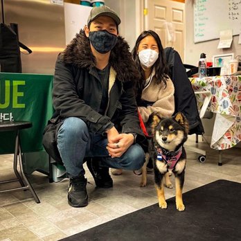 Korean K9 Rescue - With our new pup Maeby on adoption day! - Animal Shelters Near Me - Astoria, New York