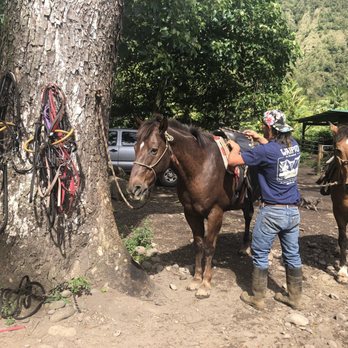 Waipi'o On Horseback - Prepping the horses for our amazing ride! - Horseback Riding Near Me - Honokaa, Hawaii