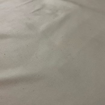 Regency Inn - Dirt on the blanket - Hotels Near Me - Hondo, Texas