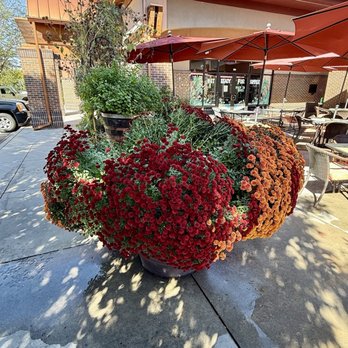 Bacquet's Restaurant - French Near Me - Eagle, Idaho