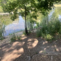 Pond