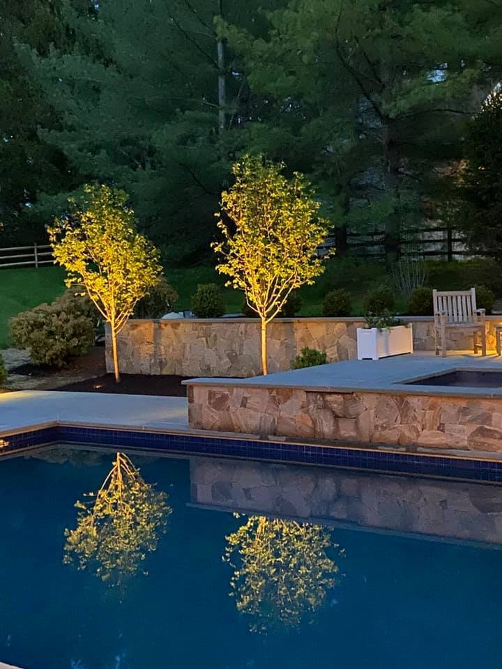 RIDGEFIELD PET Updated August 2024 23 Danbury Rd, Ridgefield