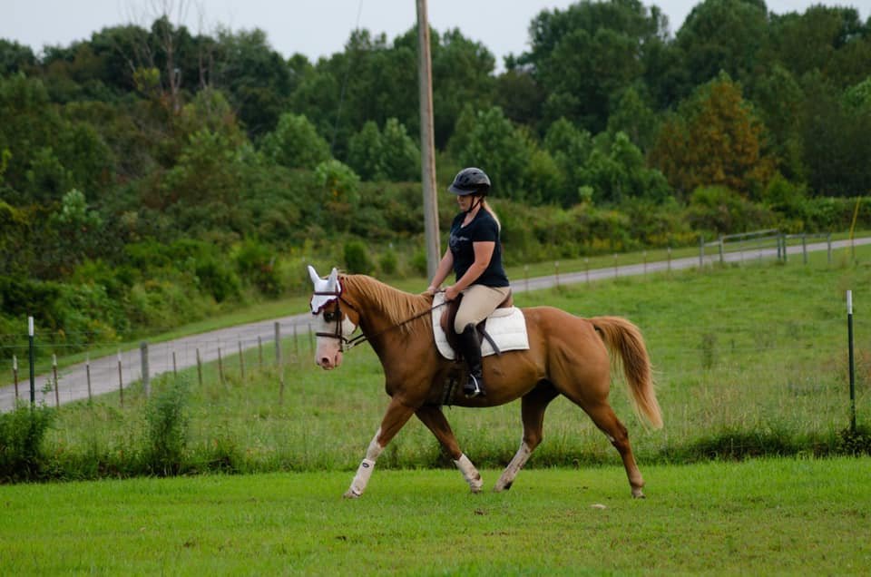 Macon County Equestrian - equestrian in Lafayette, TN