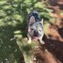 Photo of Ewa Beach Dog Park