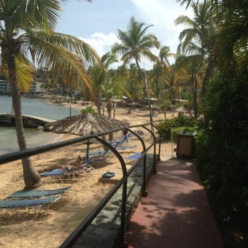 Iggies Oasis Restaurant - Dive Bars Near Me - Saint Thomas, Virgin Islands Iggies Oasis Restaurant - Dive Bars Near Me - Saint Thomas, Virgin Islands
