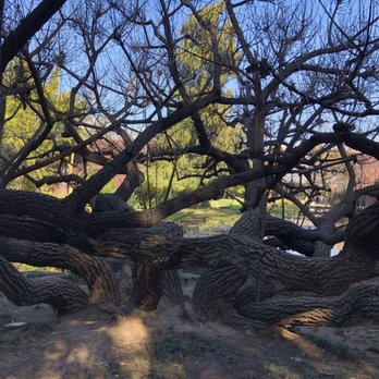 Norton Simon Museum - Art Museums Near Me - Pasadena, California