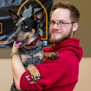 Fidelity K9 - Pet Training Near Me - Omaha, Nebraska