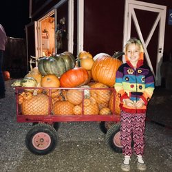 Maxwell's Pumpkin Farm - Maxwell's Pumpkin Farm