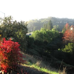 Fountaingrove Dental Group - The view from our offices