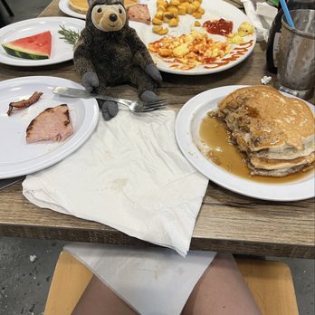 Chops & Eggs - Slowpoke, the traveling sloth, loved his breakfast! - New American Near Me - Corpus Christi, Texas