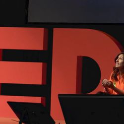 Connect, Communicate, Elevate - TEDx talk