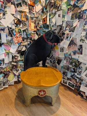 Dog Mountain, Home of Stephen Huneck Gallery by null