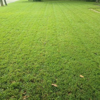 PJ's Lawn Mowing - Lawn Services Near Me PJ's Lawn Mowing - Lawn Services Near Me
