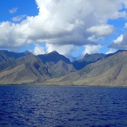 Pali Kai Rentals - Pali Kai Rentals LLC/PKR Realty