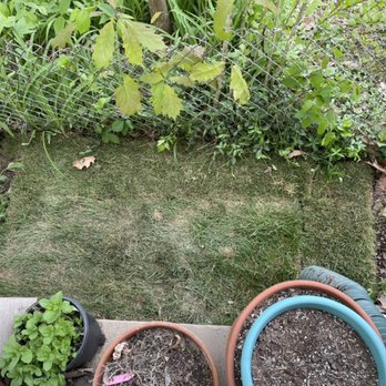 Skylar Landscape - SOD installation: AFTER - Junk Removal & Hauling Near Me Skylar Landscape - SOD installation: AFTER - Junk Removal & Hauling Near Me