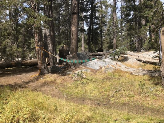 Tioga Rd by null