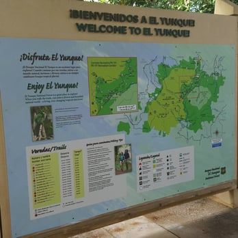 El Yunque Rainforest - Hiking Near Me - Luquillo, Puerto Rico