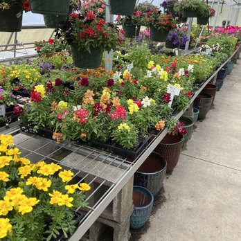 Rightway Garden Center - Landscaping Near Me - Burlington, Kentucky Rightway Garden Center - Landscaping Near Me - Burlington, Kentucky