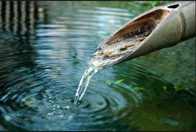 Slide of Canopy Water Works
