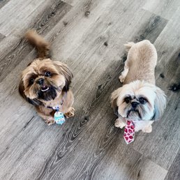 Happy customers!