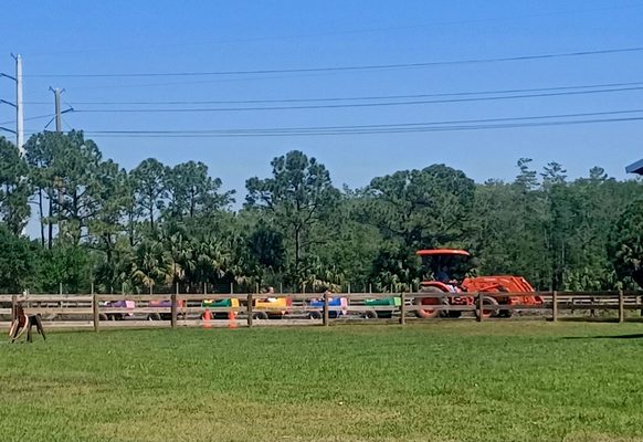 Hobe Sound Farmers Market by null