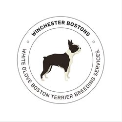 Winchester Bostons - I created this logo for Winchester Bostons (in my free time) because I truly appreciate all that Gary at Winchester Bostons has done for me!