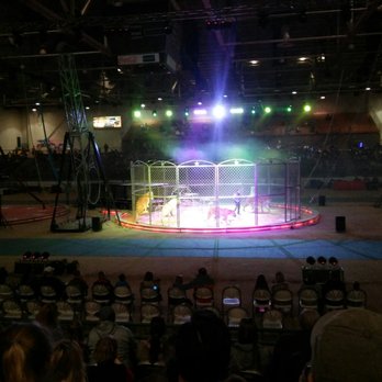 Kerak Shrine Circus - Three bengal and two white tigers - Arts & Entertainment Near Me - Reno, Nevada Kerak Shrine Circus - Three bengal and two white tigers - Arts & Entertainment Near Me - Reno, Nevada