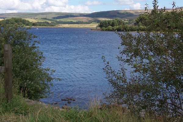 Hollingworth Lake by null