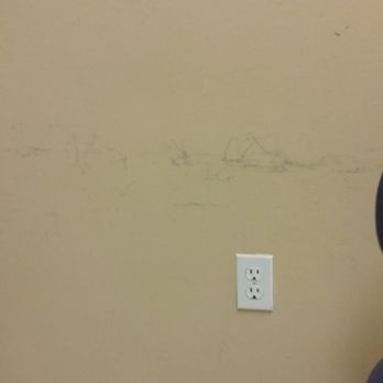 Coast Dental - Coastal dental nasty walls - General Dentistry Near Me - Brandon, Florida