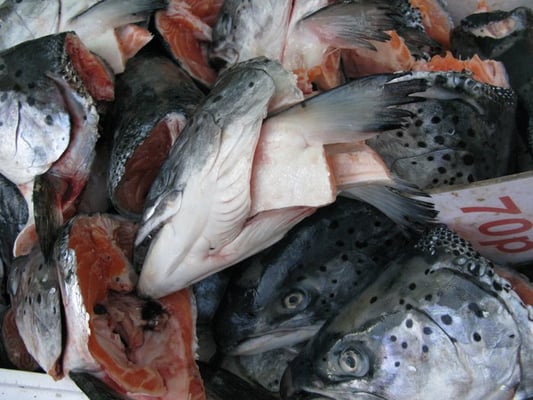 Billingsgate Market by null