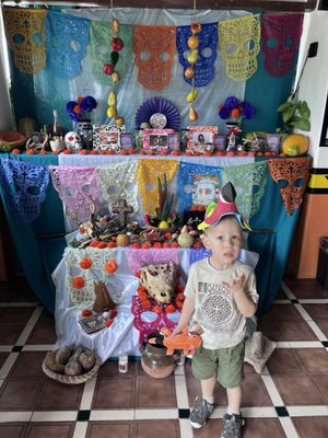 Croco Cun Zoo by null