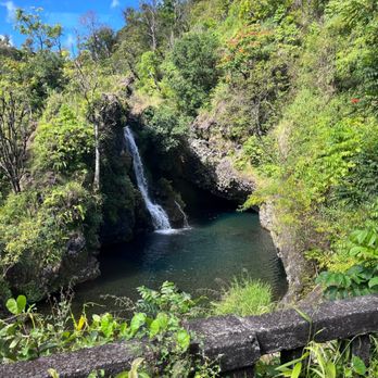 Dynamic Tour Maui - Bus Tours Near Me - Wailuku, Hawaii
