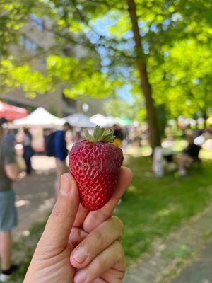 Portland Saturday Market by null
