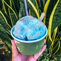 Cookie Monster Shave Ice