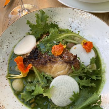 L'Oca d'Oro - Snapper - Italian Near Me - Austin, Texas