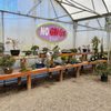 Terra Gardens Nursery & Bark gift card