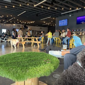 Crate Escapes Dog Park + Bar - Indoor dog area + bar - Dog Parks Near Me - Westfield, Indiana Crate Escapes Dog Park + Bar - Indoor dog area + bar - Dog Parks Near Me - Westfield, Indiana