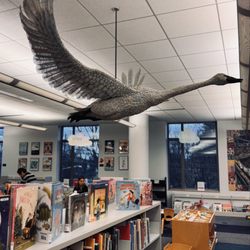 Princeton Public Library - Used to take my son to the library every week