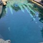 Photo of Pro Pool Service