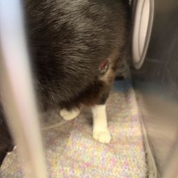 03/27, the day I went to adopt him "ready to go home status" 03/27, the day I went to adopt him "ready to go home status"