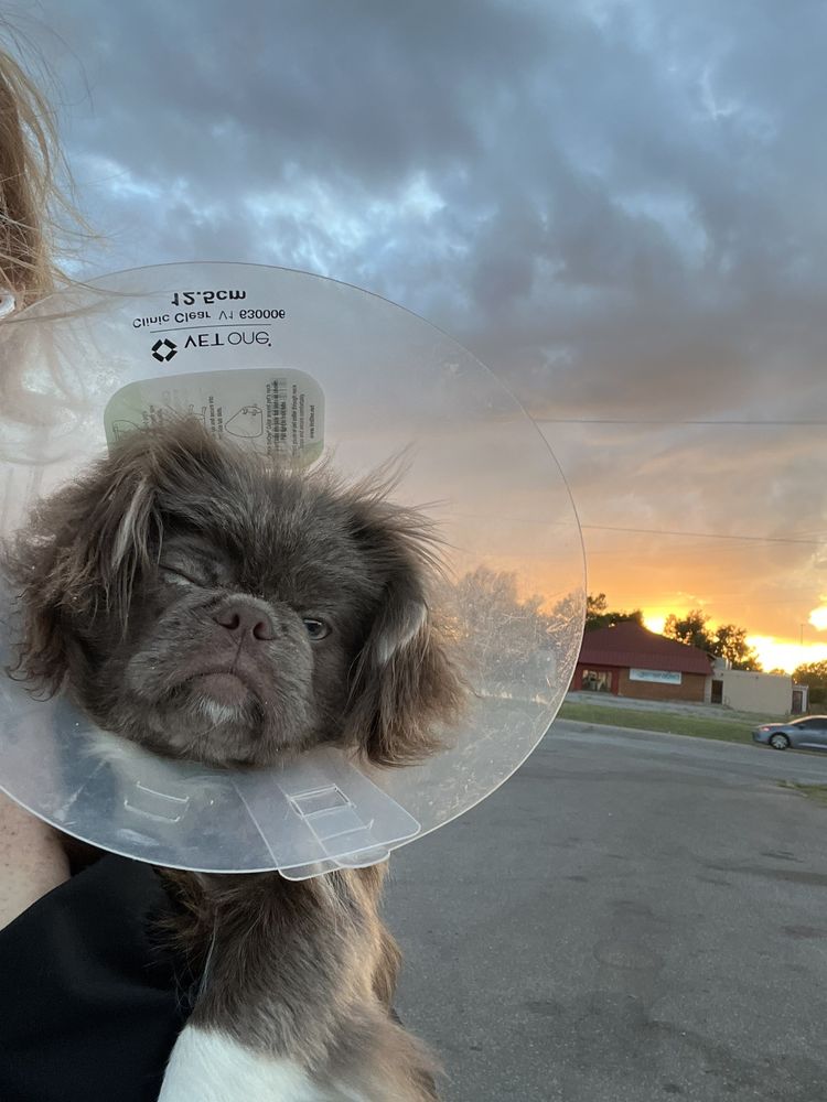 SHELL 11561 N 1900th Rd, Sayre, Oklahoma Gas Stations Phone