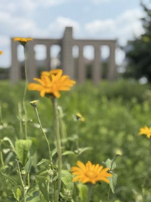 Minneapolis Sculpture Garden by null